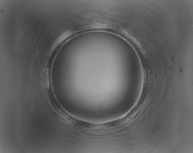 X0000051251171200506171128