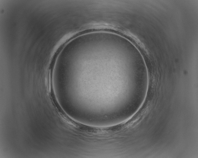 X0000051251175200506171128