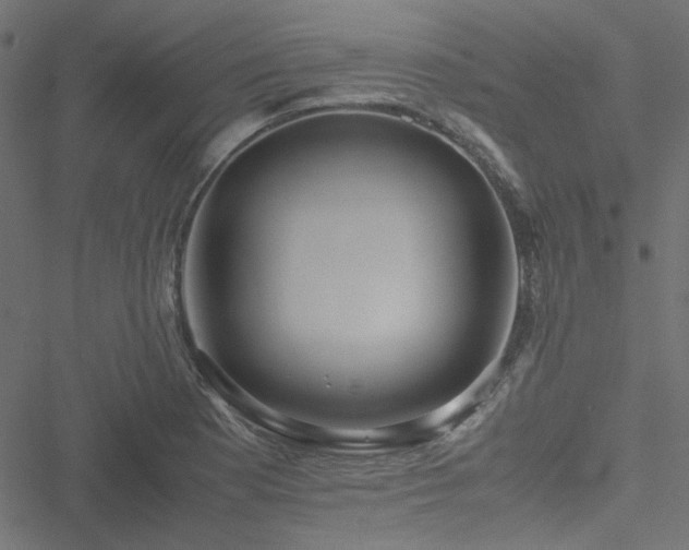 X0000051251177200506171128