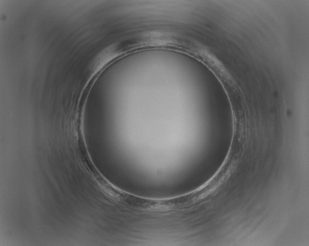 X0000051251178200506171128