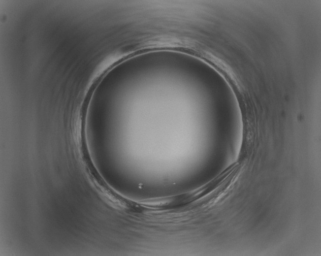 X0000051251179200506171128