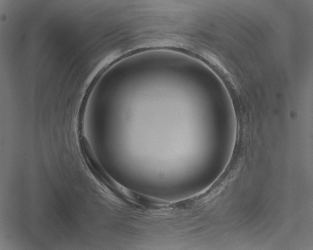 X0000051251181200506171128