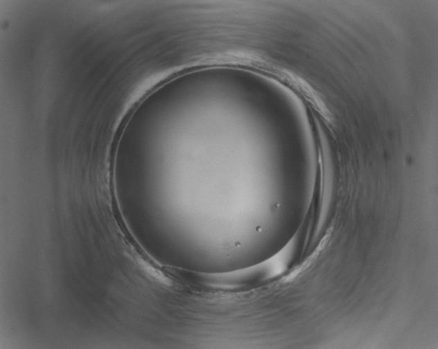 X0000051251184200506171128