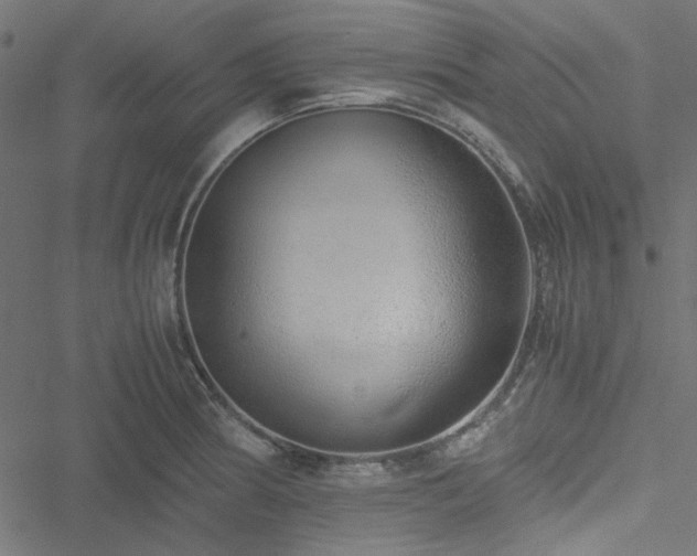 X0000051251186200506171128