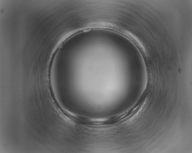 X0000051251192200506171128