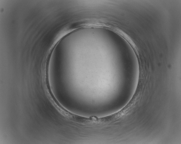 X0000051251195200506171128