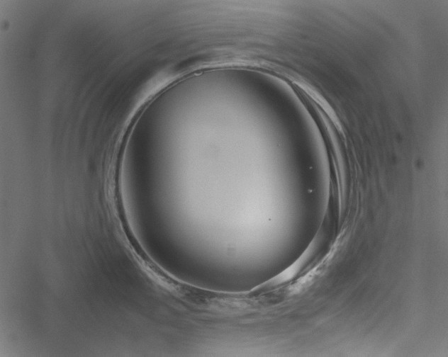 X0000051251197200506171128