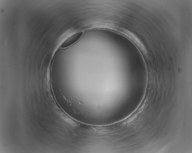 X0000051251198200506171128