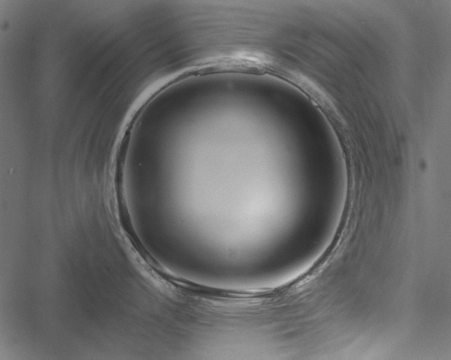 X0000051251200200506171128