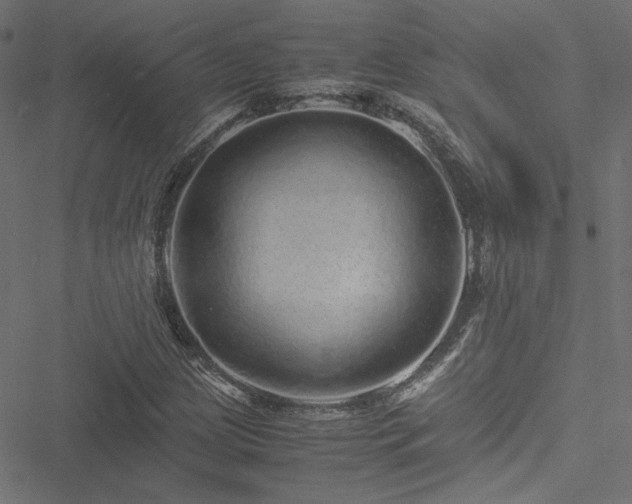 X0000051251209200506171127