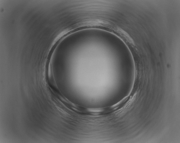 X0000051251226200506171127