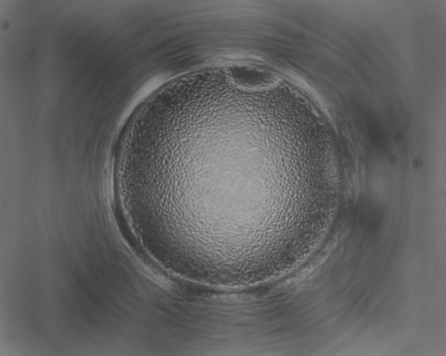 X0000051251227200506171127