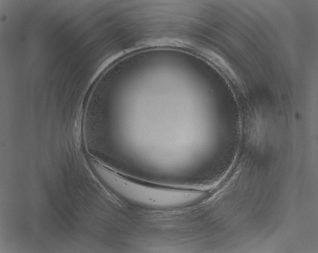 X0000051251228200506171127
