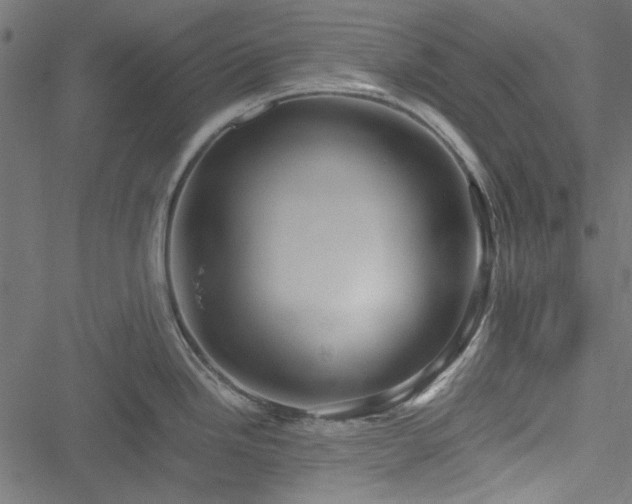 X0000051251246200506171128