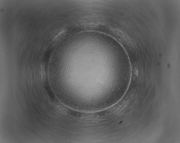 X0000051251252200506171127