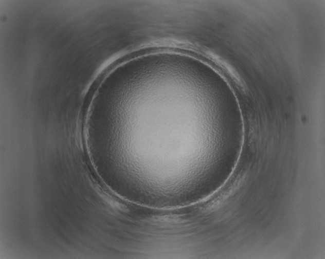 X0000051251272200506171126