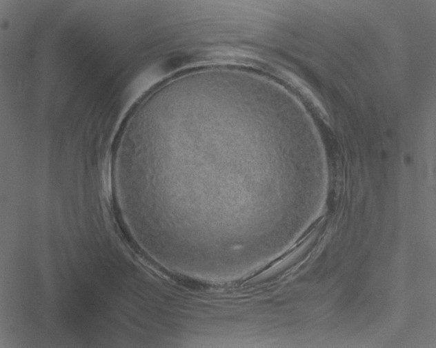 X0000051251275200506171126