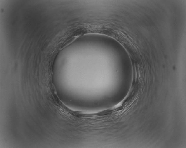 X0000051251345200506171125