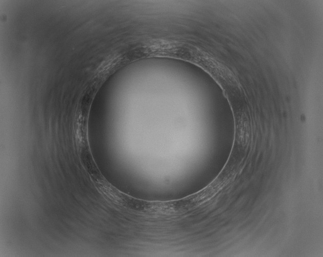 X0000051251346200506171125