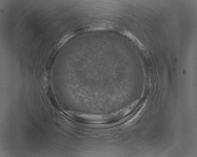 X0000051251353200506171125