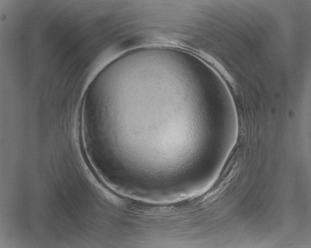 X0000051251387200506171124