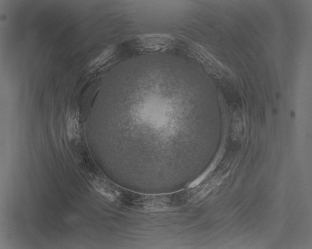 X0000051251394200506171124
