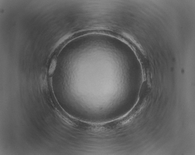 X0000051251452200506171123