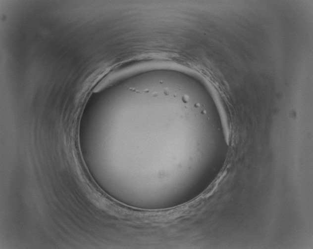 X0000051250001200506241558