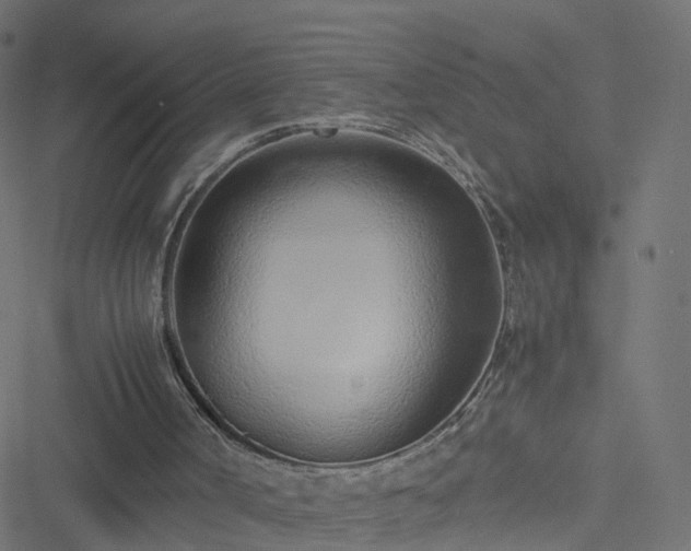 X0000051250002200506241558