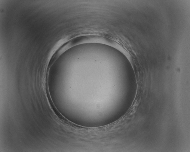 X0000051250003200506241558