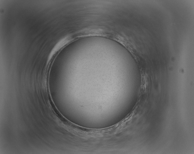 X0000051250004200506241558