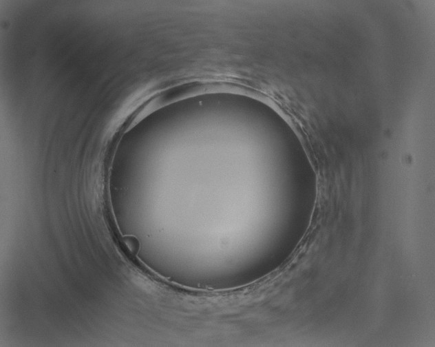 X0000051250005200506241558