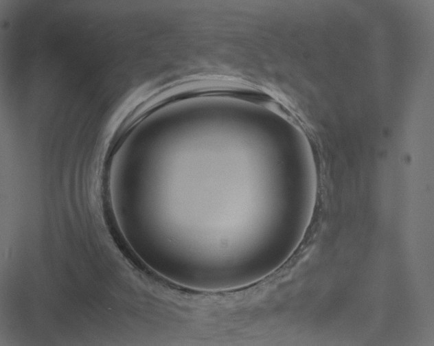 X0000051250007200506241558