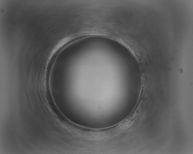 X0000051250008200506241558