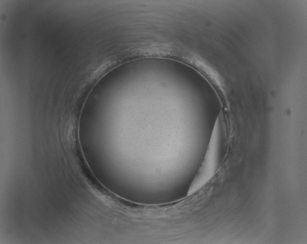 X0000051250009200506241558