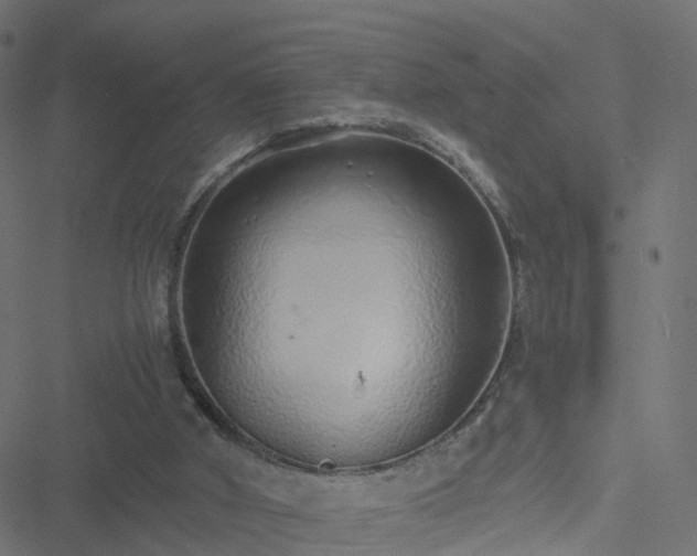 X0000051250010200506241558