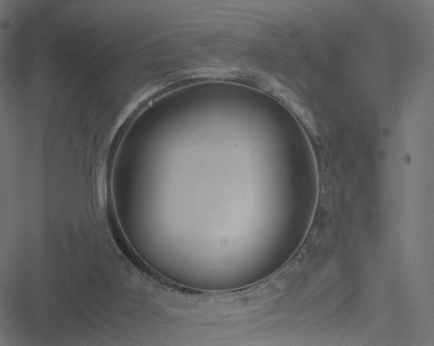 X0000051250011200506241558