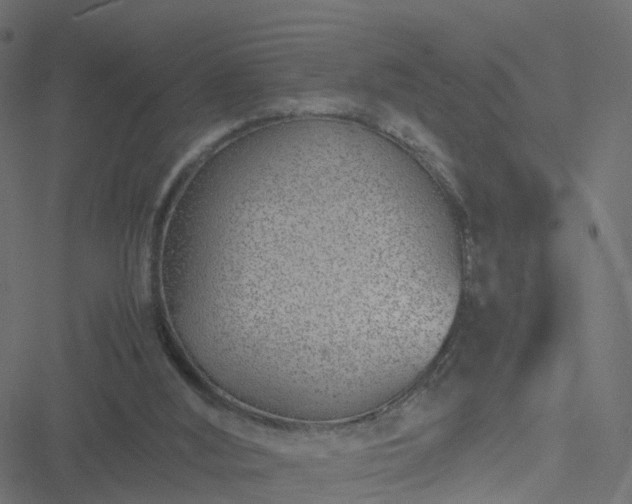 X0000051250012200506241558