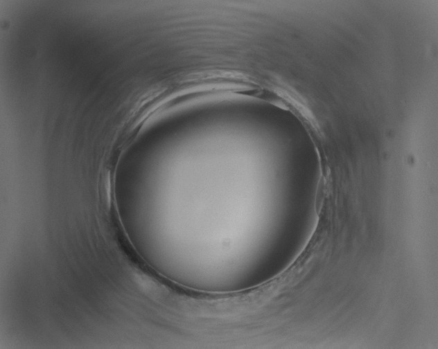 X0000051250013200506241558