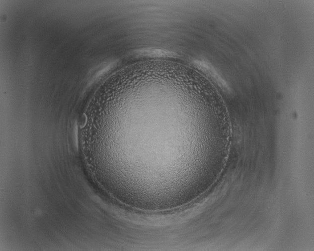 X0000051250014200506241558