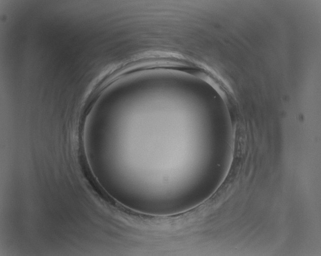 X0000051250015200506241558