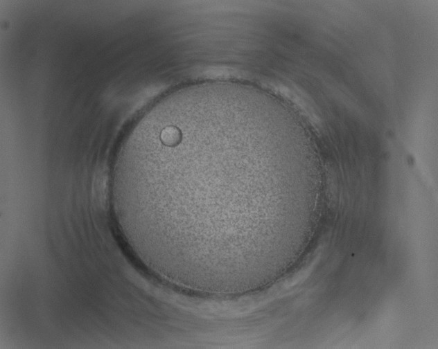 X0000051250016200506241558