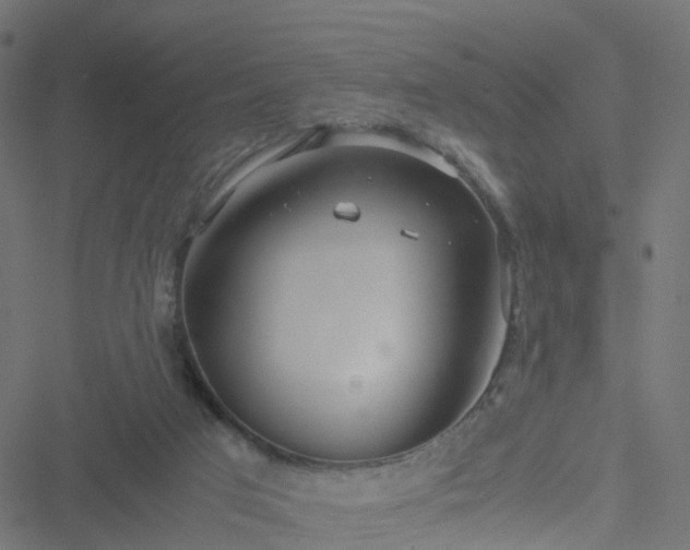 X0000051250017200506241558