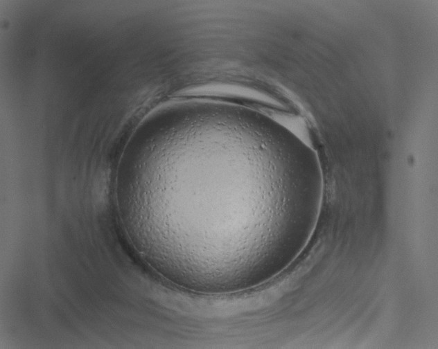 X0000051250018200506241558