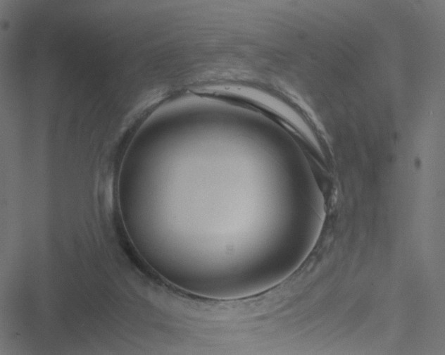 X0000051250019200506241558