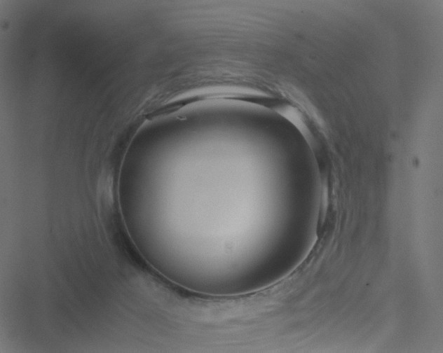 X0000051250021200506241558