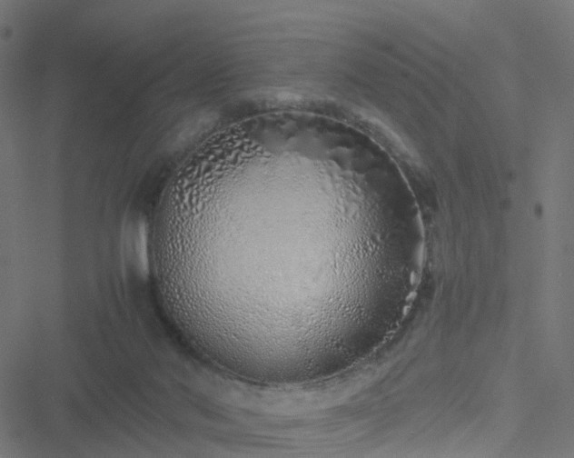 X0000051250022200506241558