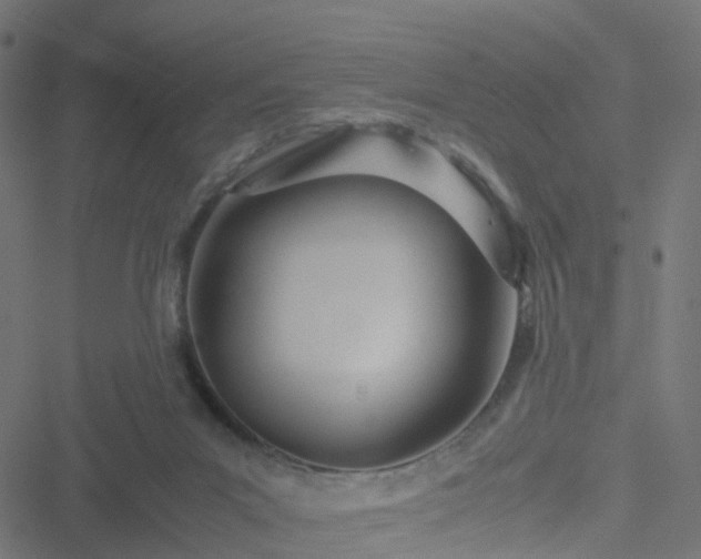 X0000051250023200506241558