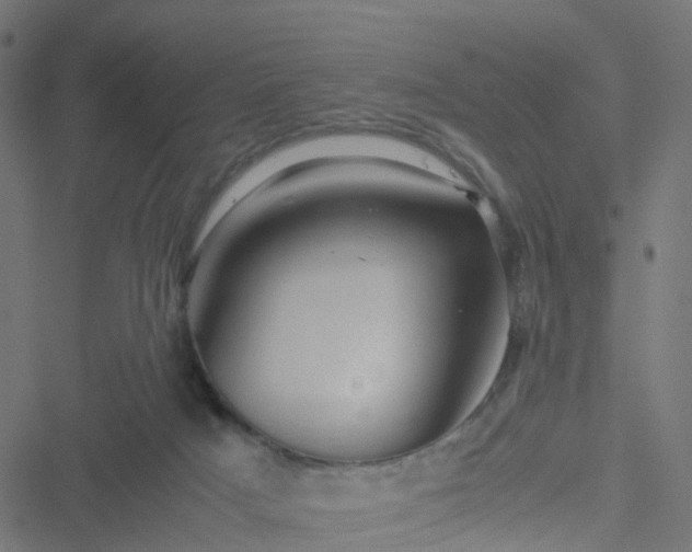 X0000051250025200506241558