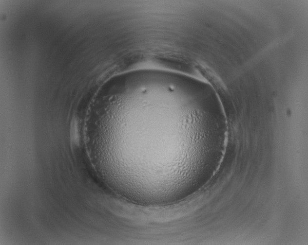 X0000051250026200506241558